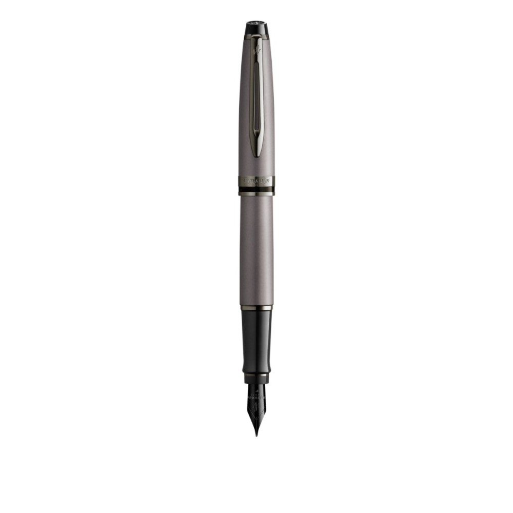 Писалка Waterman Expert SE Metallic Silver