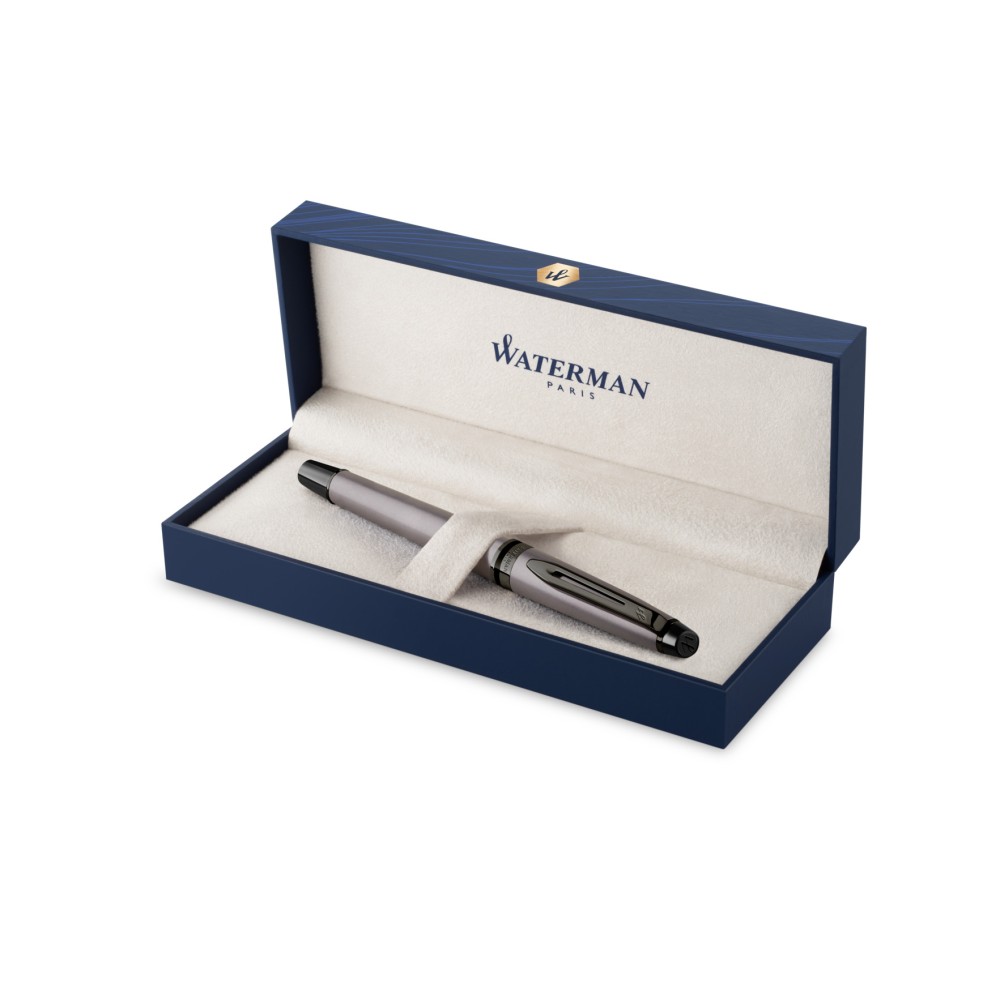 Писалка Waterman Expert SE Metallic Silver
