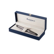 Писалка Waterman Expert SE Metallic Silver