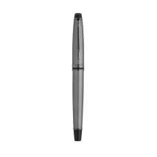 Писалка Waterman Expert SE Metallic Silver